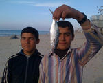 aisheen